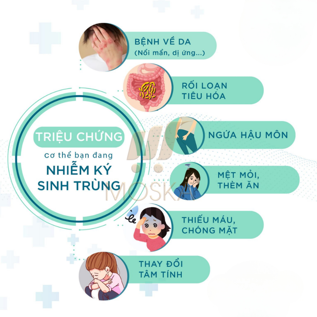Viên Uống Thảo Dược Detoxic Nga Chính Hãng Thải Độc Diệt Ký Sinh Trùng Loại Bỏ Giun Sán Hôi Miệng, Thanh Lọc Cơ Thể| Mos