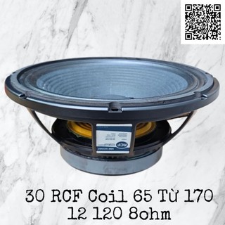 Bass 30 RCF Coil 65 Từ 170 Nhập (1 Cái)