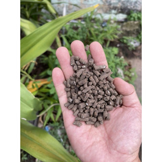  5Kg Phân Gà Viên Nhật Hữu Cơ Nhập Khẩu Sỉ Giá Tốt 