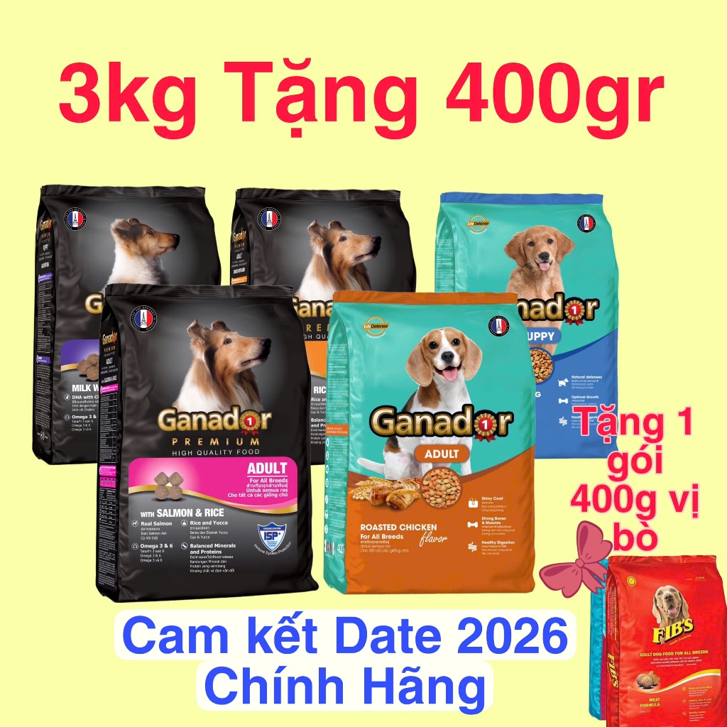 (3Kg Tặng 400g) Thức ăn cho chó hạt Ganador 3kg nhiều vị