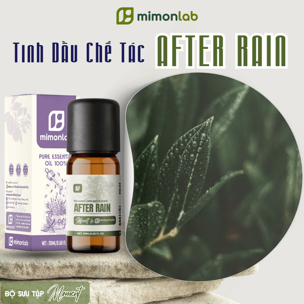 Tinh Dầu Chế Tác AFTER RAIN - Tinh Dầu Đánh Thức Sự Tươi Mới AFTER RAIN | Bộ Sưu Tập MOMENT