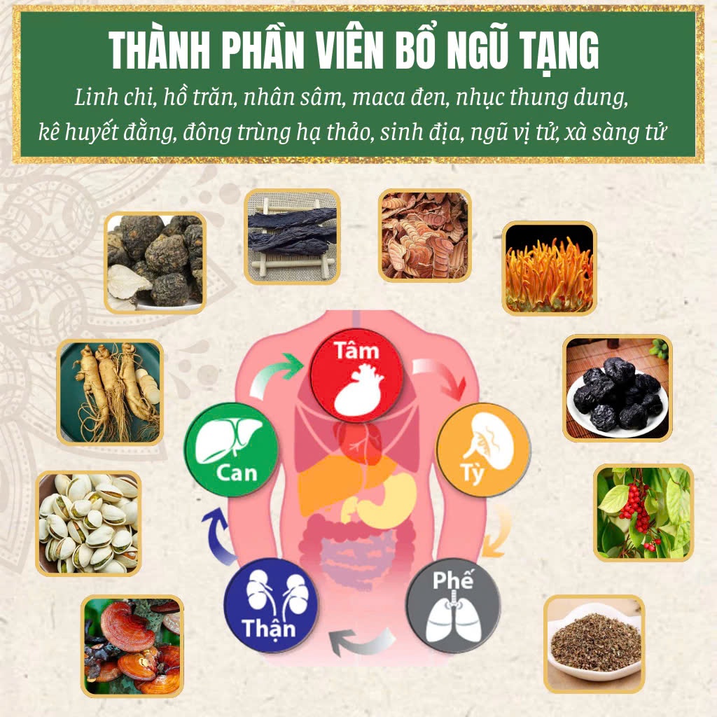Viên uống Bổ ngũ tạng Lang Ngoạn giúp bình hòa âm dương, cân bằng ngũ tạng và phục hồi sau tai biến hiệu quả bịch 300v