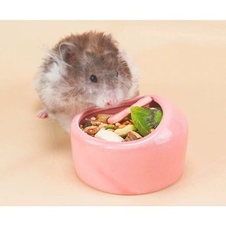 Chén vòm trơn cho hamster size nhỏ và lớn - T3 PETS SHOP
