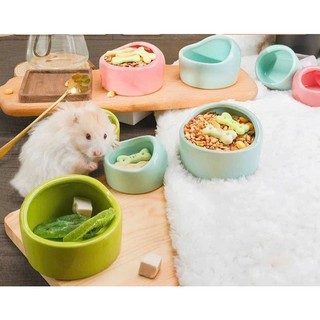 Chén vòm trơn cho hamster size nhỏ và lớn - T3 PETS SHOP