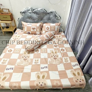 Bộ Ga Và Vỏ Gối Cotton Poly 4 Món (1 Ga + 2 Vỏ Gối Nằm +  1 Vỏ Gối Ôm)