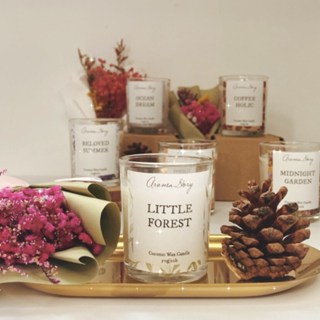 Nến thơm phòng Candle Cup Pashop không khói thư giãn tinh dầu cao cấp an toàn 100% tự nhiên