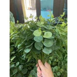 COMBO 1kg Cành lá táo rời, cắm điểm hoa lụa, hoa handmade, trang trí phòng | D007