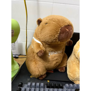 Gấu bông Capybara đeo balo bò sữa siêu dễ thương Gấu bông Capybara siêu mềm set 5 vỏ bọc thẻ căn cước công dân