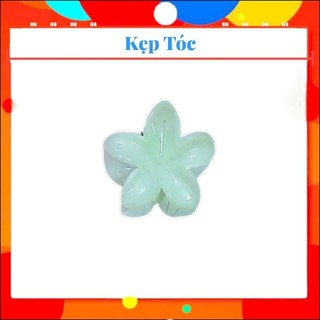 Kẹp Tóc Hoa Sứ - 6cm ( Combo sét 12 Cái )