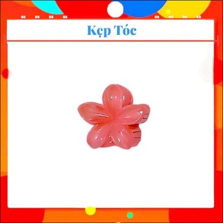 Kẹp Tóc Hoa Sứ - 6cm ( Combo sét 12 Cái )