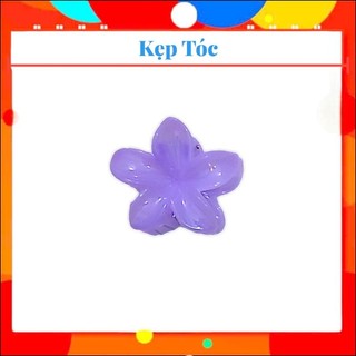 Kẹp Tóc Hoa Sứ - 6cm ( Combo sét 12 Cái )