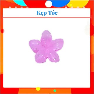 Kẹp Tóc Hoa Sứ - 6cm ( Combo sét 12 Cái )