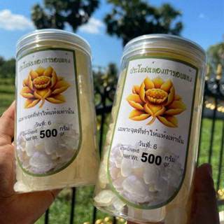 Combo 2 hộp thốt nốt sấy dẻo - Không tẩm đường - Hộp 500g