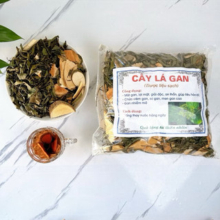 Cây lá Gan 1 kg MÁT GAN, HẠ MEN GAN, thanh lọc cơ thể, bảo vệ gan, chống ung thư gan
