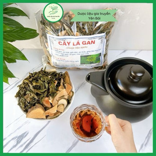 Cây lá Gan 1 kg MÁT GAN, HẠ MEN GAN, thanh lọc cơ thể, bảo vệ gan, chống ung thư gan