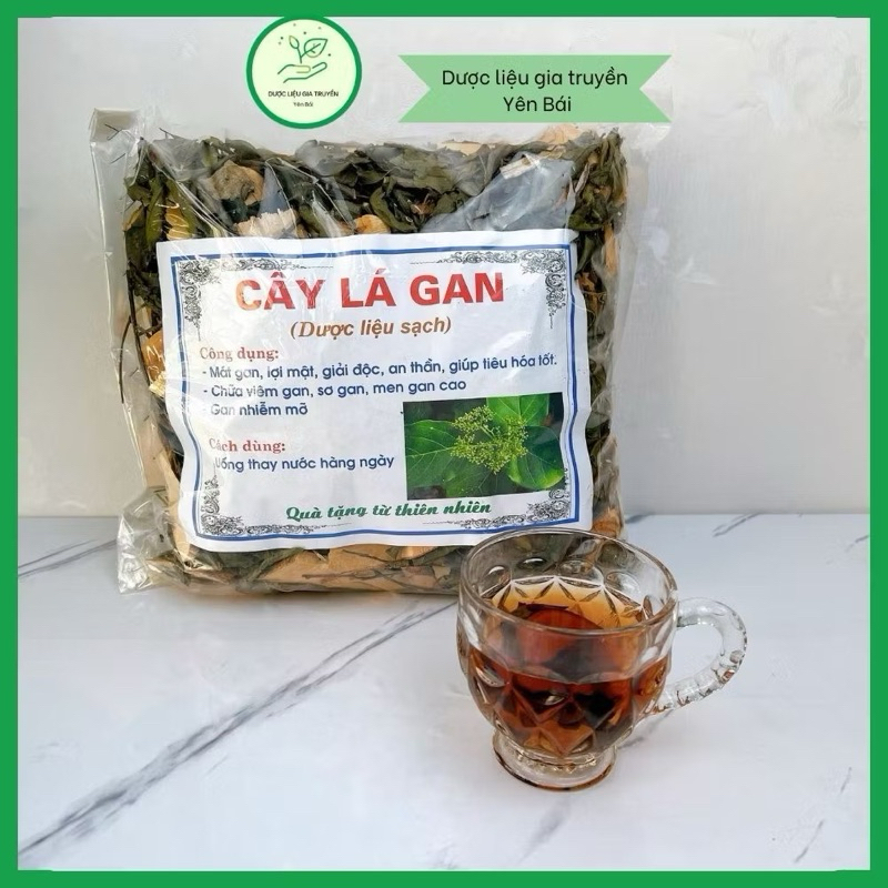 Cây lá Gan 1 kg MÁT GAN, HẠ MEN GAN, thanh lọc cơ thể, bảo vệ gan, chống ung thư gan