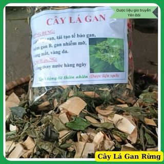 Cây lá Gan 1 kg MÁT GAN, HẠ MEN GAN, thanh lọc cơ thể, bảo vệ gan, chống ung thư gan
