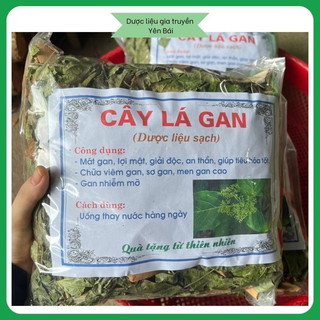 Cây lá Gan 1 kg MÁT GAN, HẠ MEN GAN, thanh lọc cơ thể, bảo vệ gan, chống ung thư gan