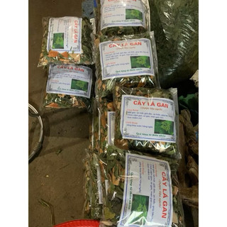 Cây lá Gan 1 kg MÁT GAN, HẠ MEN GAN, thanh lọc cơ thể, bảo vệ gan, chống ung thư gan