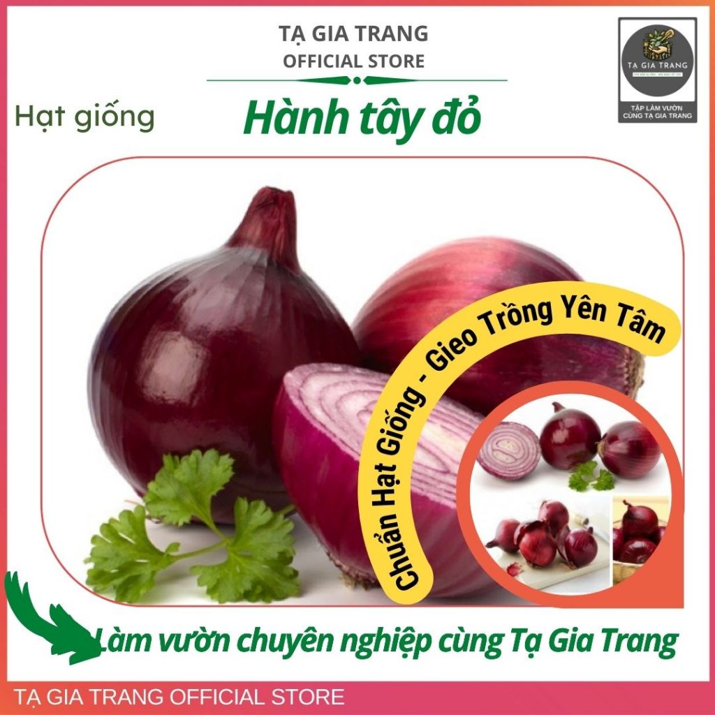 Hạt giống hành tây đỏ - Shop hạt giống Tạ Gia Trang