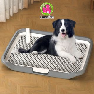 Khay vệ sinh cho chó size lớn L:65*50cm có cọc LunaPet KC08 - Khay hướng dẫn cún đi vệ sinh