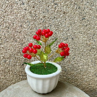 Chậu hoa đào đông hạt đỏ