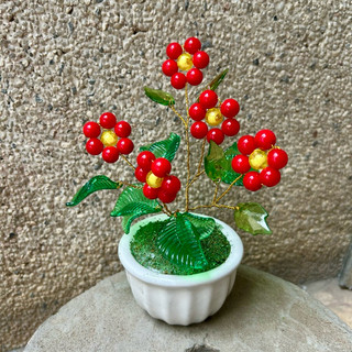 Chậu hoa đào đông hạt đỏ