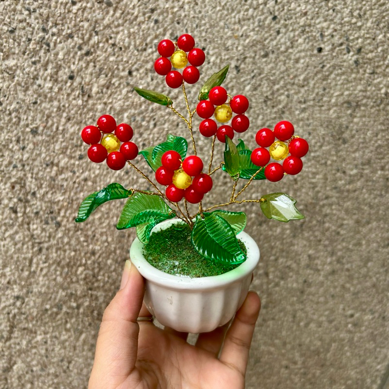 Chậu hoa đào đông hạt đỏ