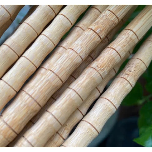 [Mão Mèo] Đũa Tre - Natural Bamboo Chopsticks- Đũa Nhẹ, Thân Thiện Môi Trường, Chuốt Máy Đều Từng Chiếc [Xanh Suốt]