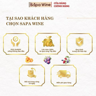 (Đặc biệt) Rượu Mận đặc sản Sapa 14%