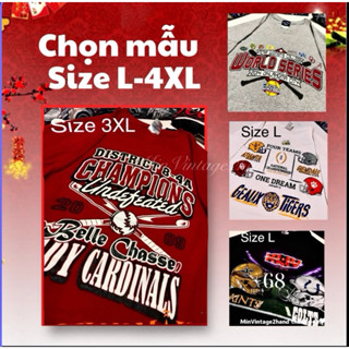 Áo thun mỹ Bigsize 2hand siêu đẹp vải dày dặn loại 1, Áo phông secondhand 100% cotton độ mới cao