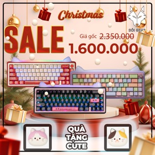 [HỎA TỐC HN - HCM] Bàn phím cơ Chilkey Paw65 Vỏ nhôm CNC |Tai dễ thương có thể tháo | Led RGB |Không dây 3 Modes