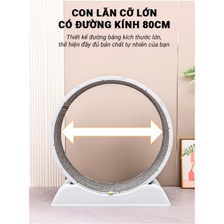 Máy Máy chạy bộ cho mèo PetEQ kích thước 79 x 34 x 84 cm