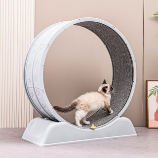Máy Máy chạy bộ cho mèo PetEQ kích thước 79 x 34 x 84 cm