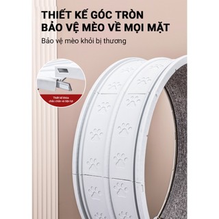 Máy Máy chạy bộ cho mèo PetEQ kích thước 79 x 34 x 84 cm