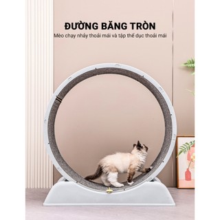 Máy Máy chạy bộ cho mèo PetEQ kích thước 79 x 34 x 84 cm
