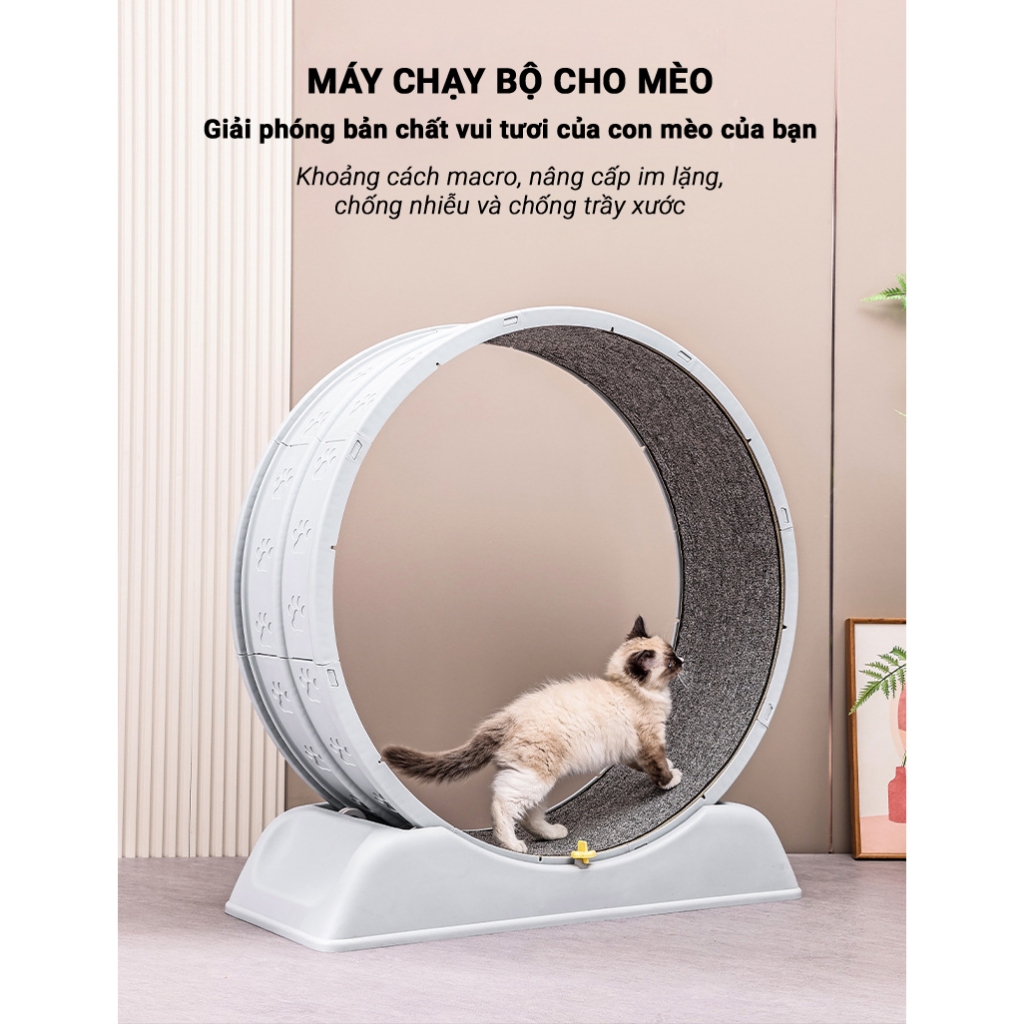 Máy Máy chạy bộ cho mèo PetEQ kích thước 79 x 34 x 84 cm
