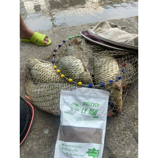 Mồi câu chuyên chép Lý ngư Version 1 (gói 900gr)