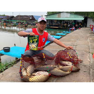 Mồi câu chuyên chép Lý ngư Version 1 (gói 900gr)