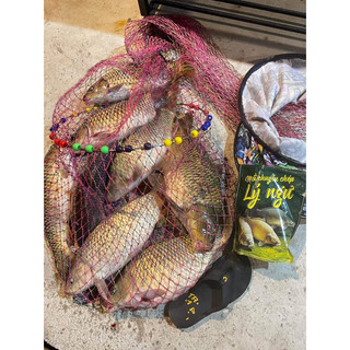 Mồi câu chuyên chép Lý ngư Version 1 (gói 900gr)