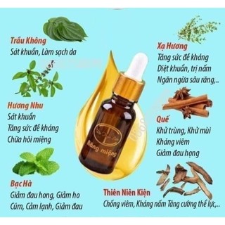 Tinh dầu răng miệng dạ thảo liên 20ml