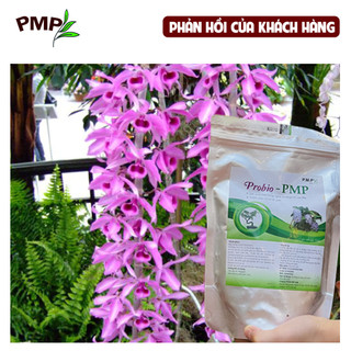 Phân bón Lan Probio PMP hữu cơ tan chậm 01Kg