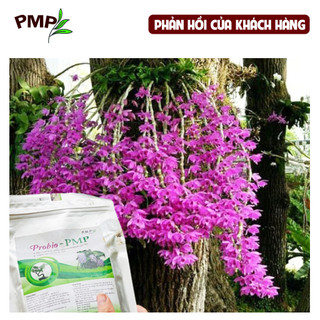 Phân bón Lan Probio PMP hữu cơ tan chậm 01Kg