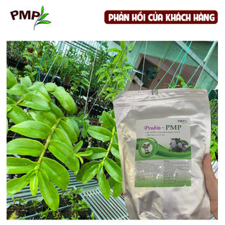 Phân bón Lan Probio PMP hữu cơ tan chậm 01Kg