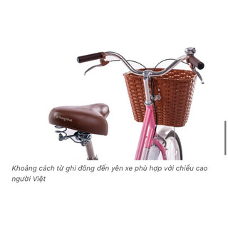 [Giảm 10%] Xe đạp mini Thống Nhất LD24-02 - Cỡ vành 24inch cho người cao từ 1m40 trở lên
