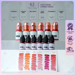 Mực Perma Blend Luxe Phiên bản cao cấp mới minisize và fullsize