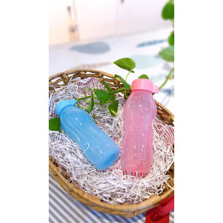 Bình nước Eco Bottle 300ml