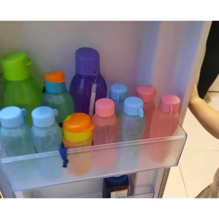 Bình nước Eco Bottle 300ml