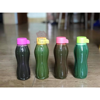 Bình nước Eco Bottle 300ml