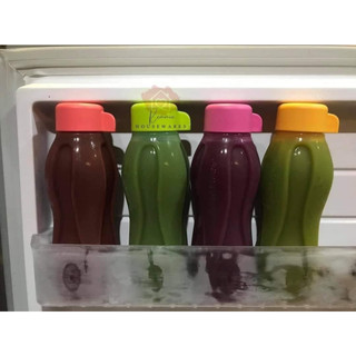 Bình nước Eco Bottle 300ml
